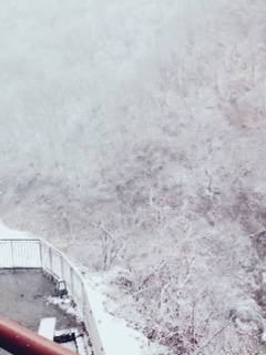 本日のお天気⇒雪！