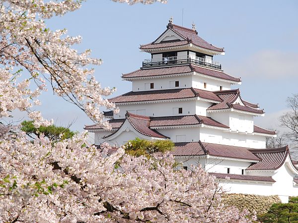 雪国会津にも、桜の季節がやってきます。