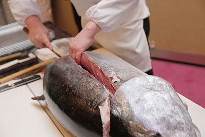 お日にち限定ですが・・・今年もやります！「マグロの解体ショー！」