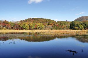 観音沼森林公園