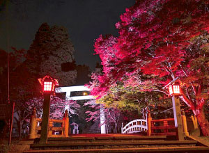 土津神社