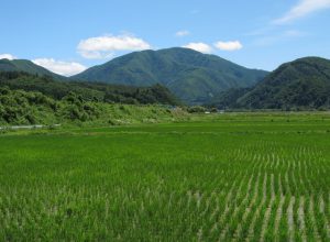 大戸岳
（登山）